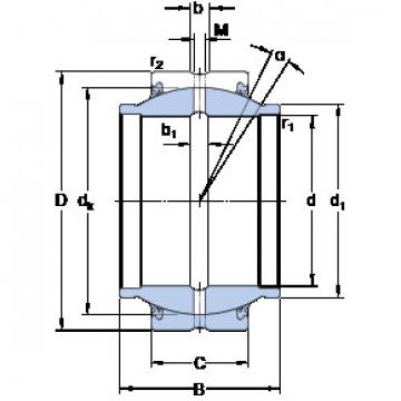 ตลับลูกปืน GEM 60 ES-2RS SKF