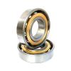 NWG 6011-ZR single row sealed ball bearing #1 small image