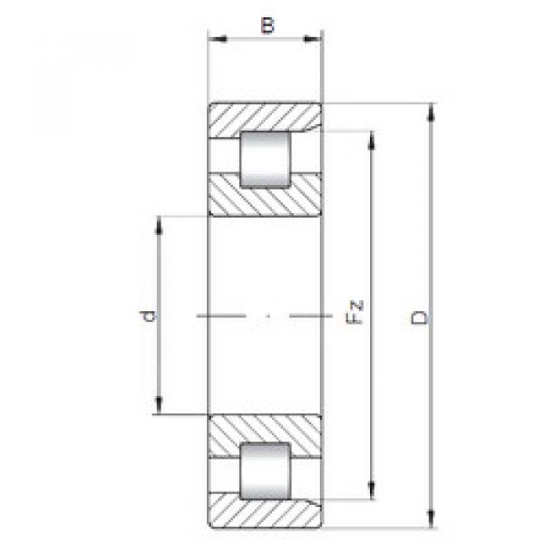 ตลับลูกปืน NF206 E CX #1 image